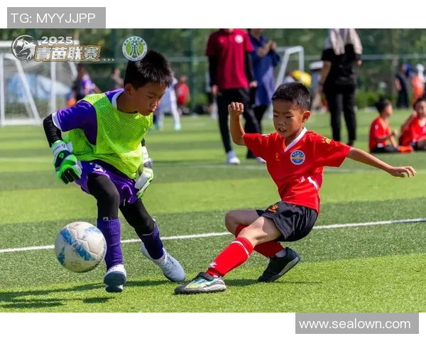 足球范范：探索足球世界的魅力与激情，带你领略球场上的精彩瞬间与故事
