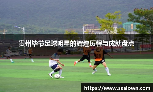 贵州毕节足球明星的辉煌历程与成就盘点