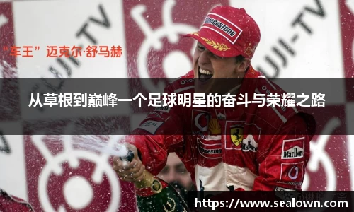 从草根到巅峰一个足球明星的奋斗与荣耀之路